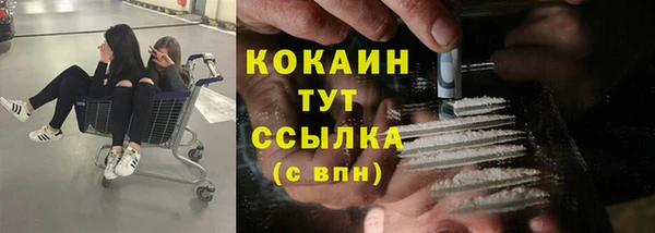 эйфоретик Снежногорск