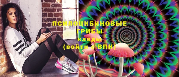 шишки Верхнеуральск