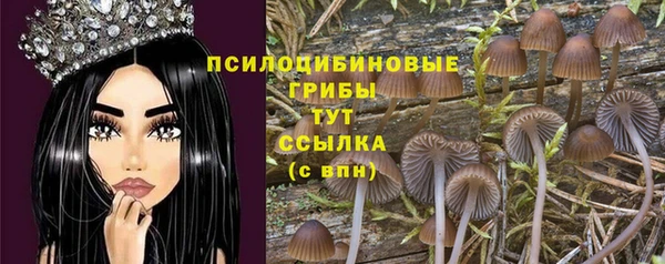 молекула духа Верея