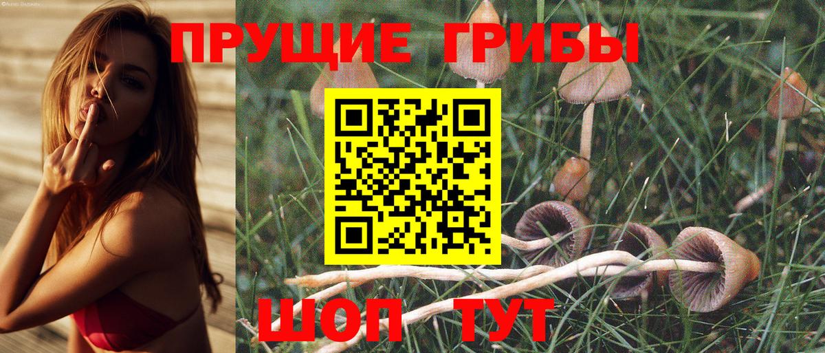 Ставрополь  Галлюциногенные грибы Magic Shrooms  Вход с VPN 